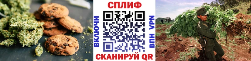 закладка  это клад  Canna-Cookies марихуана  Можга 