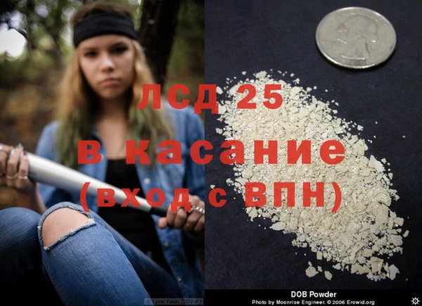 индика Баксан