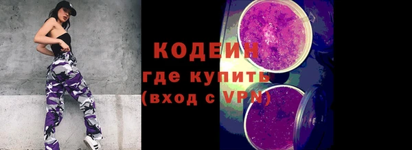 индика Баксан