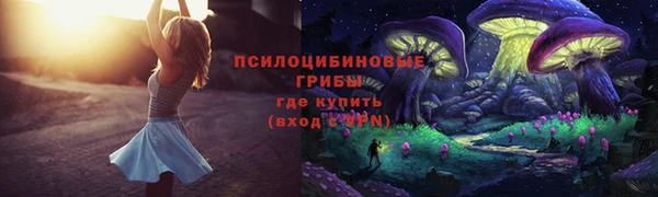 индика Балахна