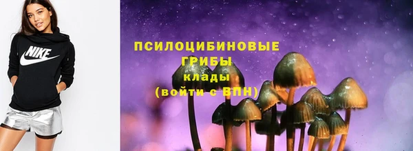 индика Баксан