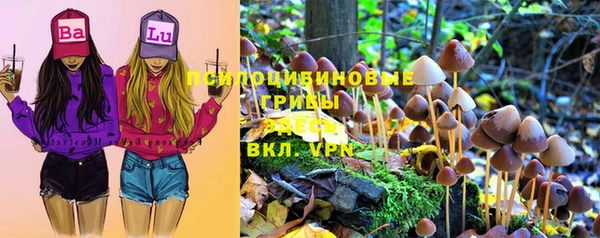 стафф Балабаново