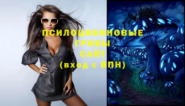 индика Баксан