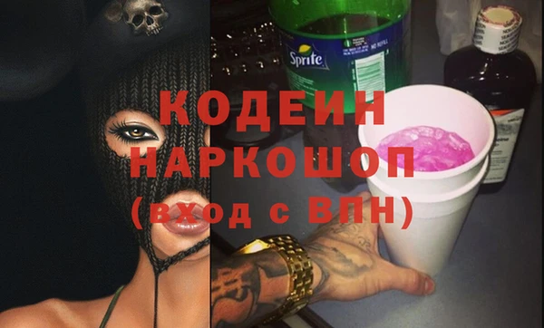 индика Баксан