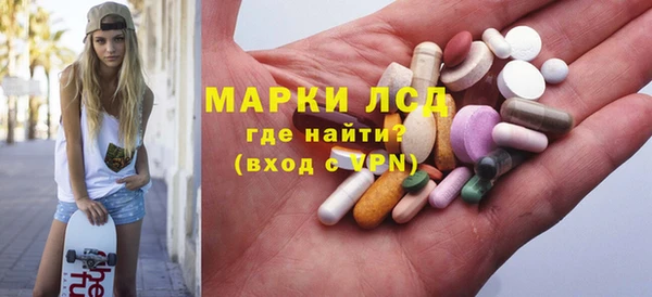 индика Балахна