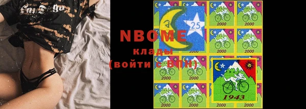 трава Белокуриха