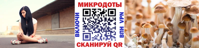 Псилоцибиновые грибы мицелий  как найти   Можга 
